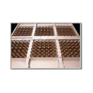 Machinery and Mold Industry